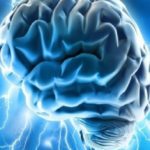 বুদ্ধিমত্তা